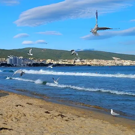 Daire Deluxe In Cascadas Family Sunny *